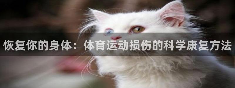 恢复你的身体：体育运动损伤的科学康复方法