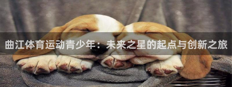 曲江体育运动青少年：未来之星的起点与创新之旅