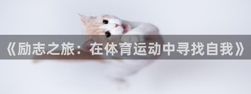 《励志之旅：在体育运动中寻找自我》