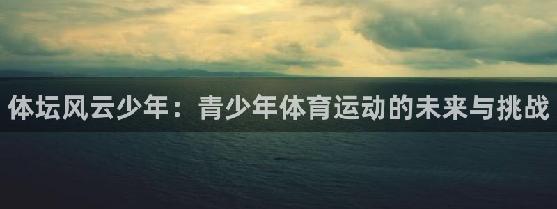 体坛风云少年：青少年体育运动的未来与挑战