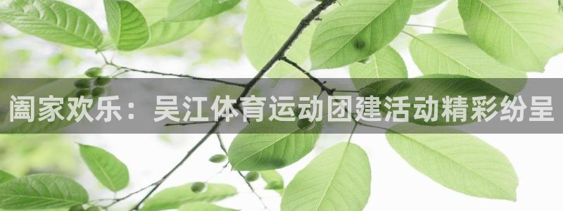 阖家欢乐：吴江体育运动团建活动精彩纷呈