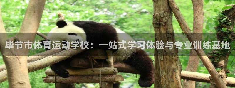 毕节市体育运动学校：一站式学习体验与专业训练基地