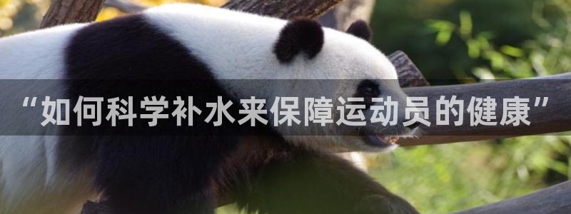 “如何科学补水来保障运动员的健康”