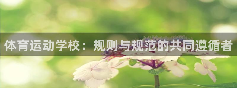 体育运动学校：规则与规范的共同遵循者