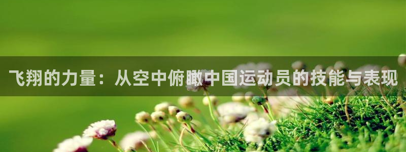 飞翔的力量：从空中俯瞰中国运动员的技能与表现