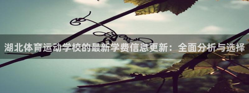 湖北体育运动学校的最新学费信息更新：全面分析与选择